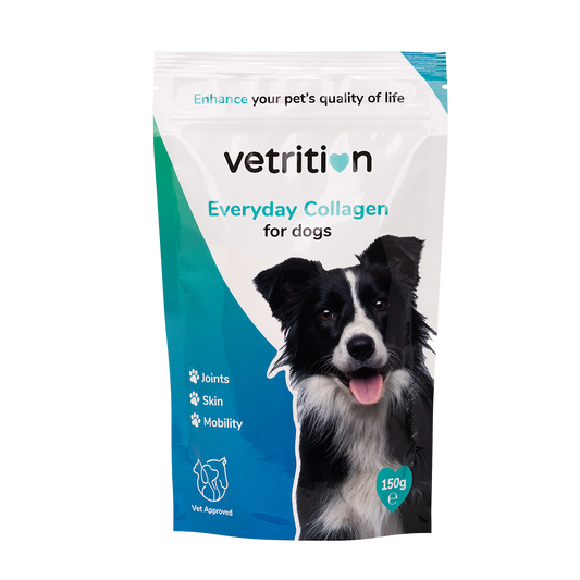 Everyday Collagen for Dogs
