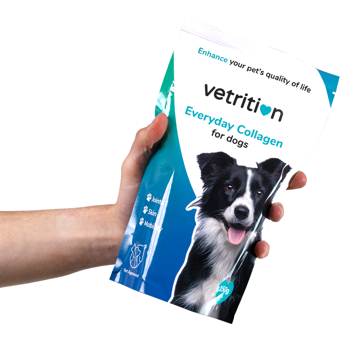 Everyday Collagen for Dogs