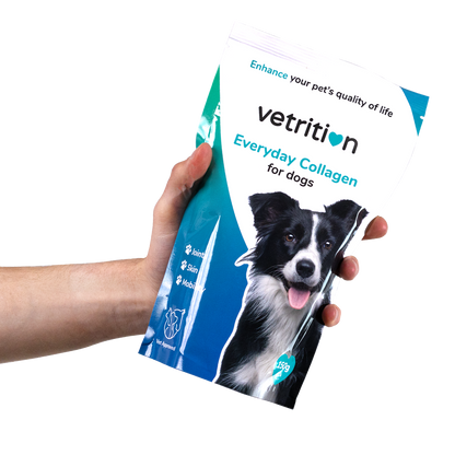 Everyday Collagen for Dogs