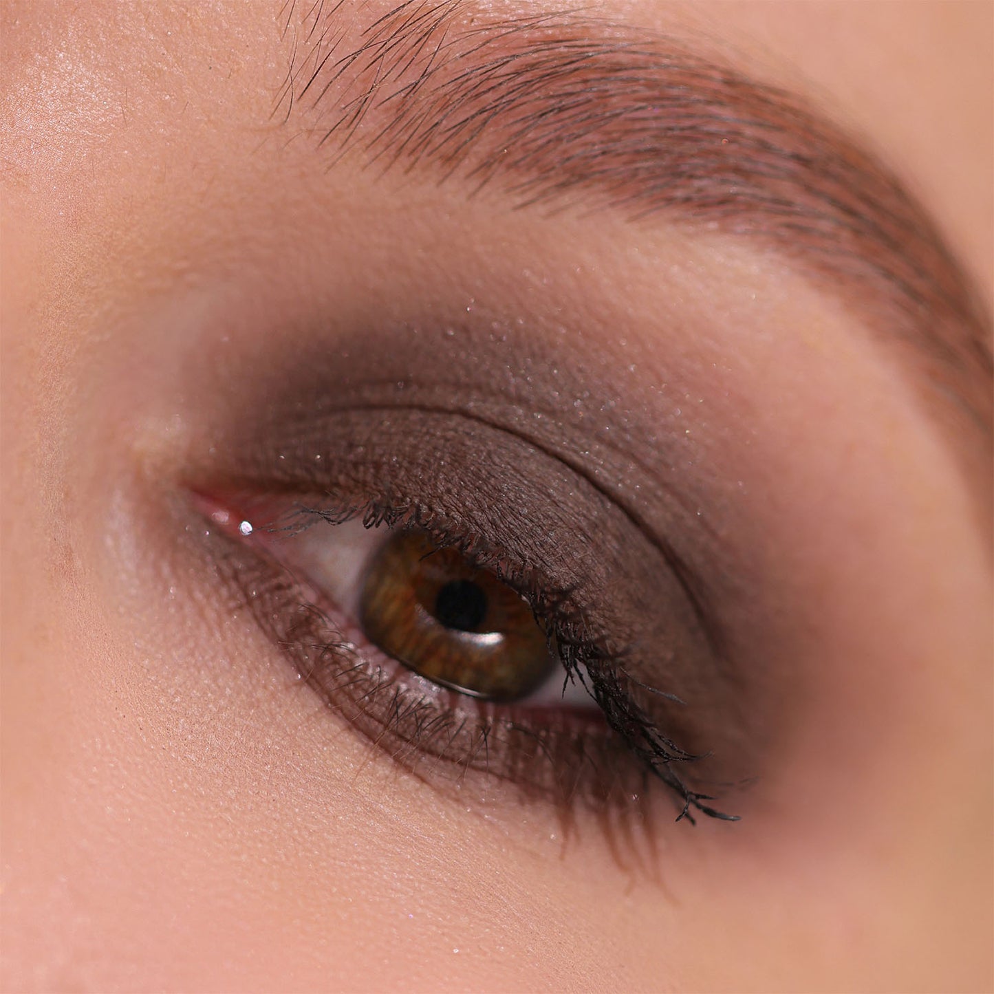 Seta - Eye Shadow