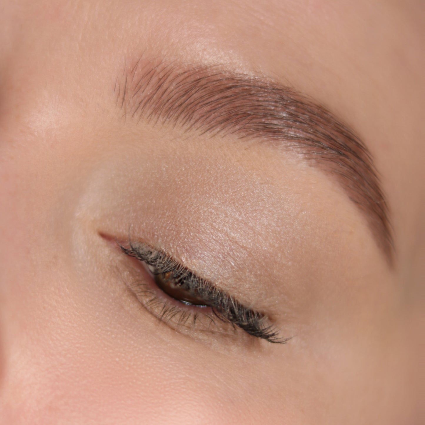 Seta - Eye Shadow