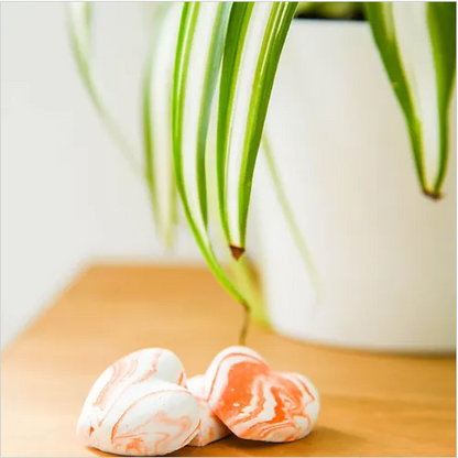 Zesty Citrus Fragrant Fresheners